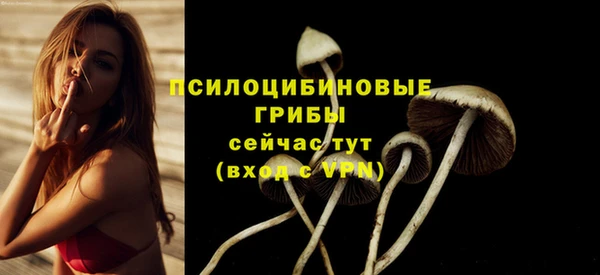 дмт Новокубанск