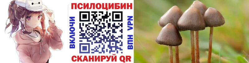 купить наркотик  Сосновоборск  Галлюциногенные грибы мухоморы 